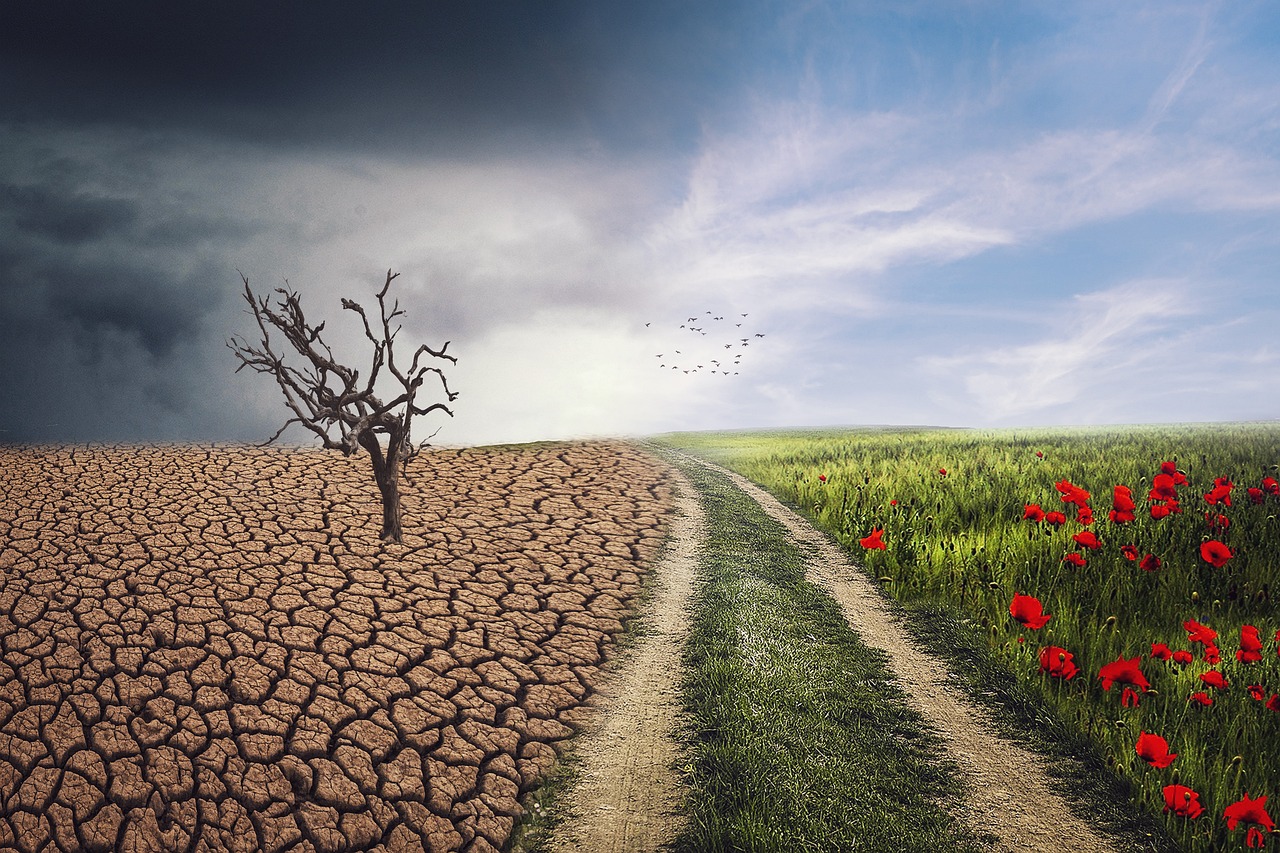 Explorer les effets du changement climatique sur notre planète