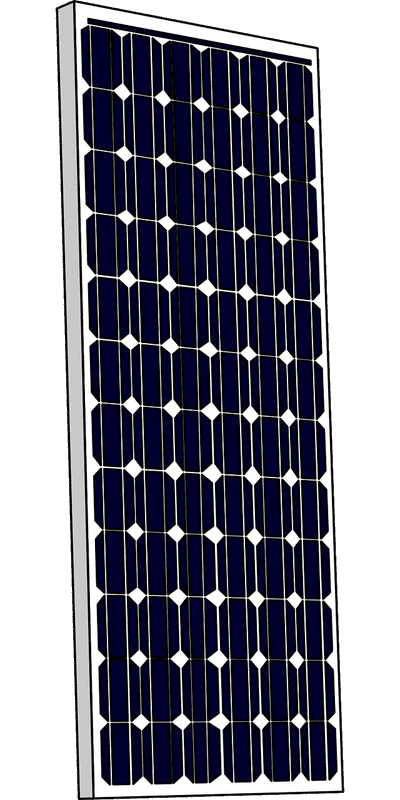 Éco-innovation : Les nouvelles tendances pour un avenir durable