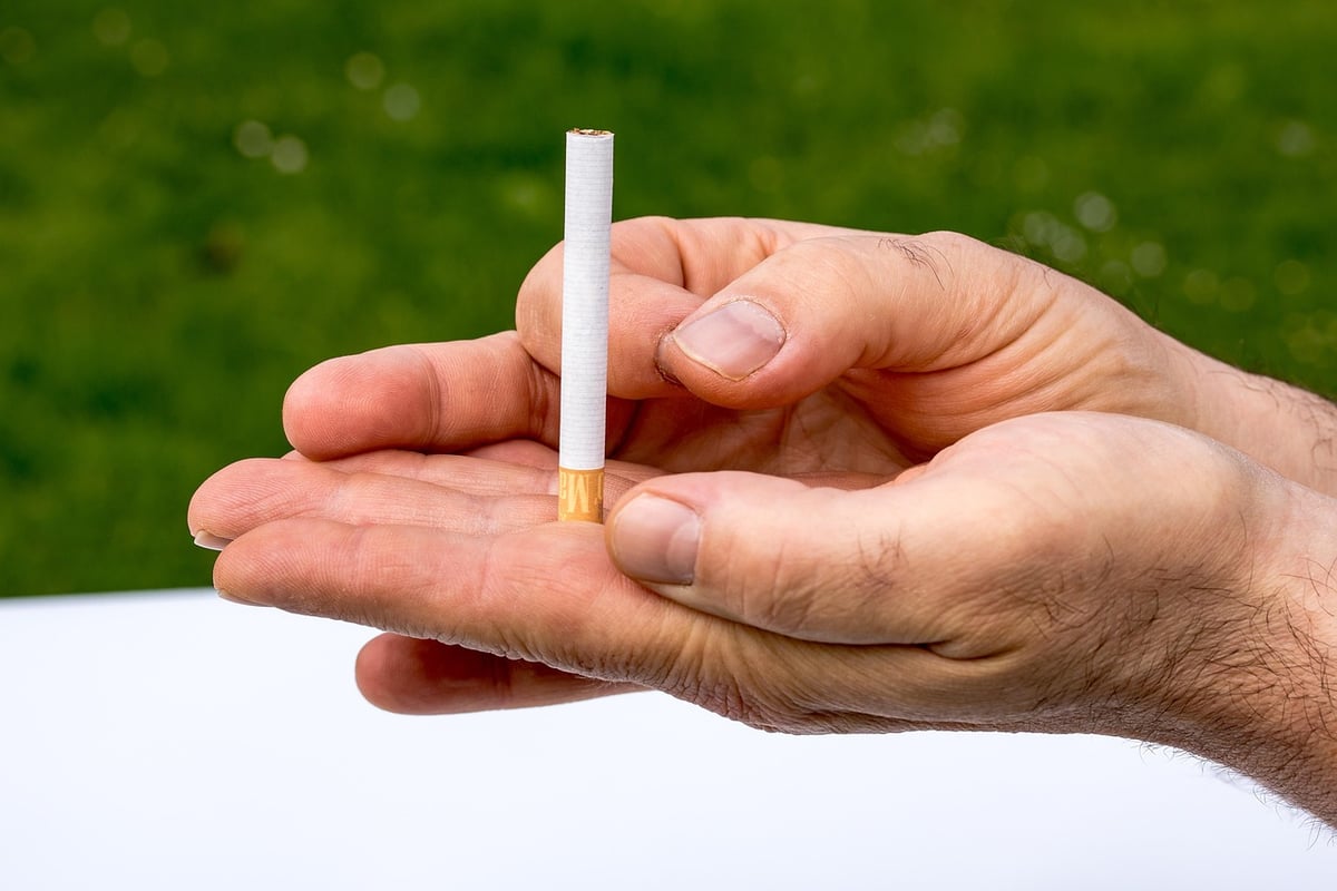 Le Club alpin de Cournon-d’Auvergne salué pour ses actions écologiques innovantes et ses engagements durables