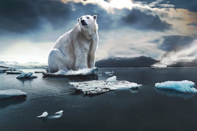 Changements climatiques : comment les entreprises peuvent agir efficacement
