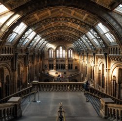 découvrez les musées environnementaux, des espaces dédiés à la sensibilisation sur la préservation de la nature, l'écologie et les enjeux environnementaux. explorez des expositions captivantes, des ateliers immersifs et des initiatives innovantes visant à promouvoir un avenir durable.