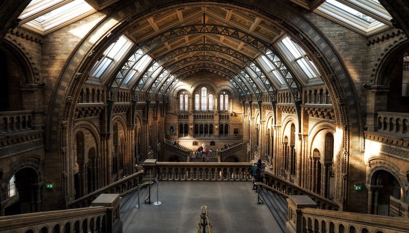 découvrez les musées environnementaux, des espaces dédiés à la sensibilisation sur la préservation de la nature, l'écologie et les enjeux environnementaux. explorez des expositions captivantes, des ateliers immersifs et des initiatives innovantes visant à promouvoir un avenir durable.