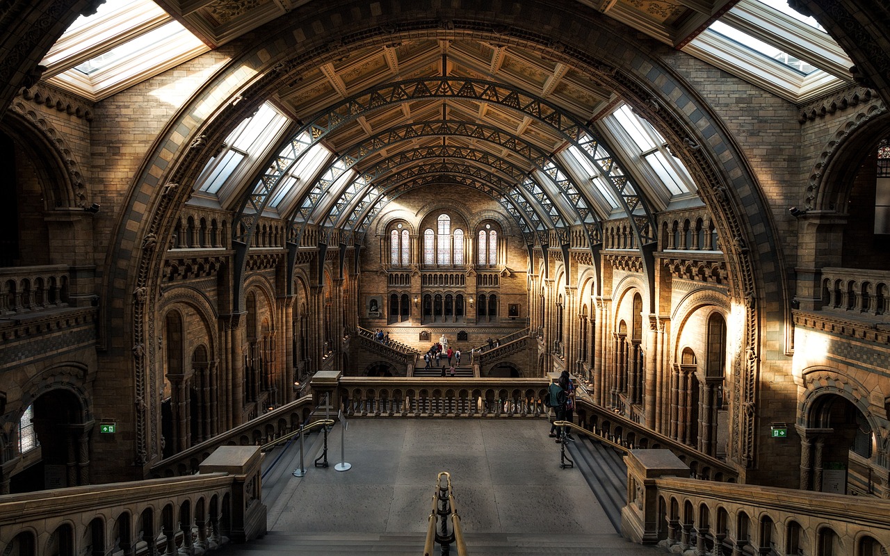 Découvrez les musées français qui s’engagent pour la protection de l’environnement