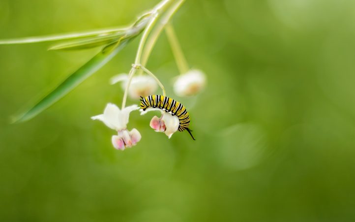 découvrez comment la transformation durable peut améliorer votre entreprise, réduire votre empreinte carbone et favoriser un avenir éthique. adoptez des pratiques respectueuses de l'environnement et rejoignez le mouvement vers un monde plus vert.