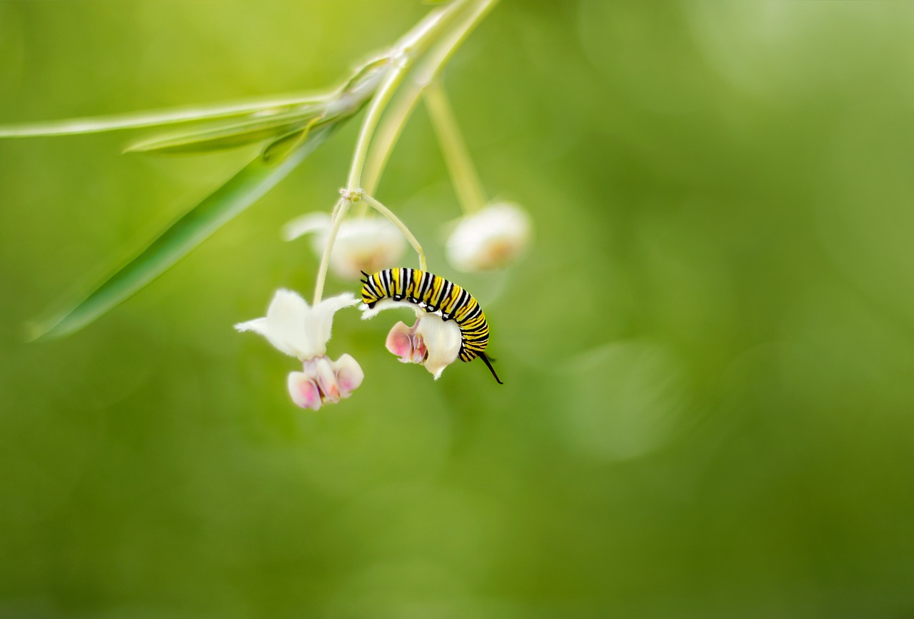 découvrez comment la transformation durable peut améliorer votre entreprise, réduire votre empreinte carbone et favoriser un avenir éthique. adoptez des pratiques respectueuses de l'environnement et rejoignez le mouvement vers un monde plus vert.