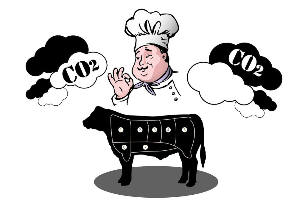 découvrez tout sur l'empreinte carbone : définition, enjeux, et astuces pratiques pour réduire votre impact environnemental au quotidien.