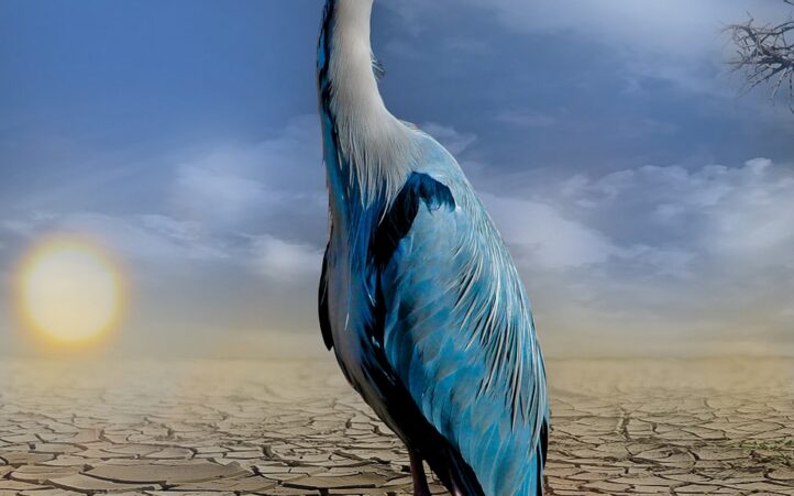 découvrez les enjeux cruciaux du changement climatique, ses effets sur notre planète et les actions nécessaires pour préserver notre environnement et assurer un avenir durable. engagez-vous dès maintenant pour un monde meilleur.