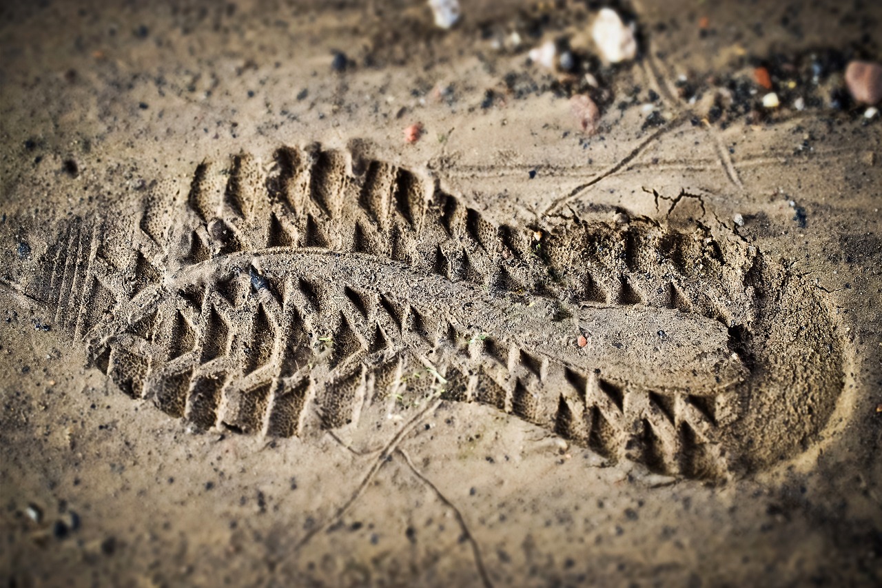 découvrez tout sur l'empreinte carbone : définition, enjeux environnementaux et impact sur notre planète. apprenez comment réduire votre empreinte et contribuer à un avenir durable.