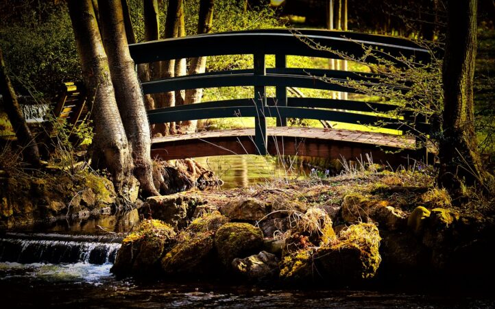 d&eacute;couvrez les enjeux de la transition &eacute;cologique : un processus essentiel pour pr&eacute;server notre plan&egrave;te, r&eacute;duire notre empreinte carbone et adopter des pratiques durables. informez-vous sur les initiatives et solutions pour un avenir respectueux de l'environnement.