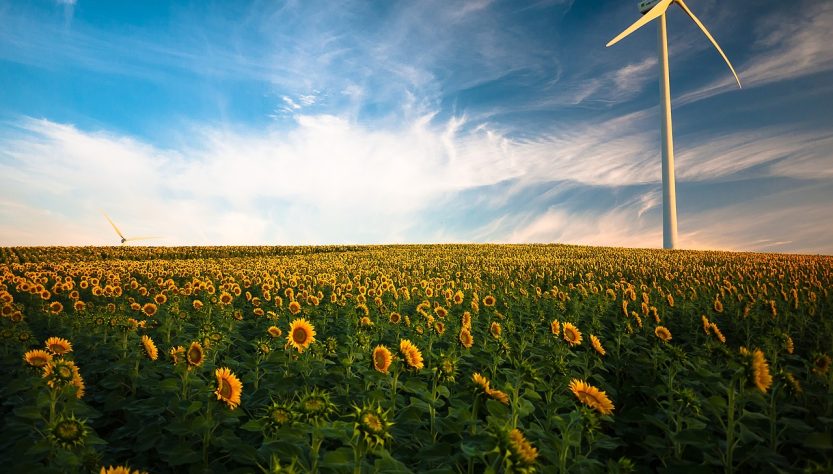 découvrez les avantages des énergies renouvelables, une solution durable pour lutter contre le changement climatique et réduire notre dépendance aux combustibles fossiles. explorez les différentes sources d'énergie renouvelable, telles que le solaire, l'éolien et l'hydroélectrique, et comment elles transforment notre avenir énergétique.