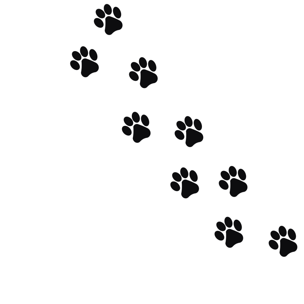 découvrez l'impact de votre empreinte carbone sur l'environnement. apprenez comment réduire vos émissions de co2 et adopter des pratiques plus durables pour un avenir meilleur.