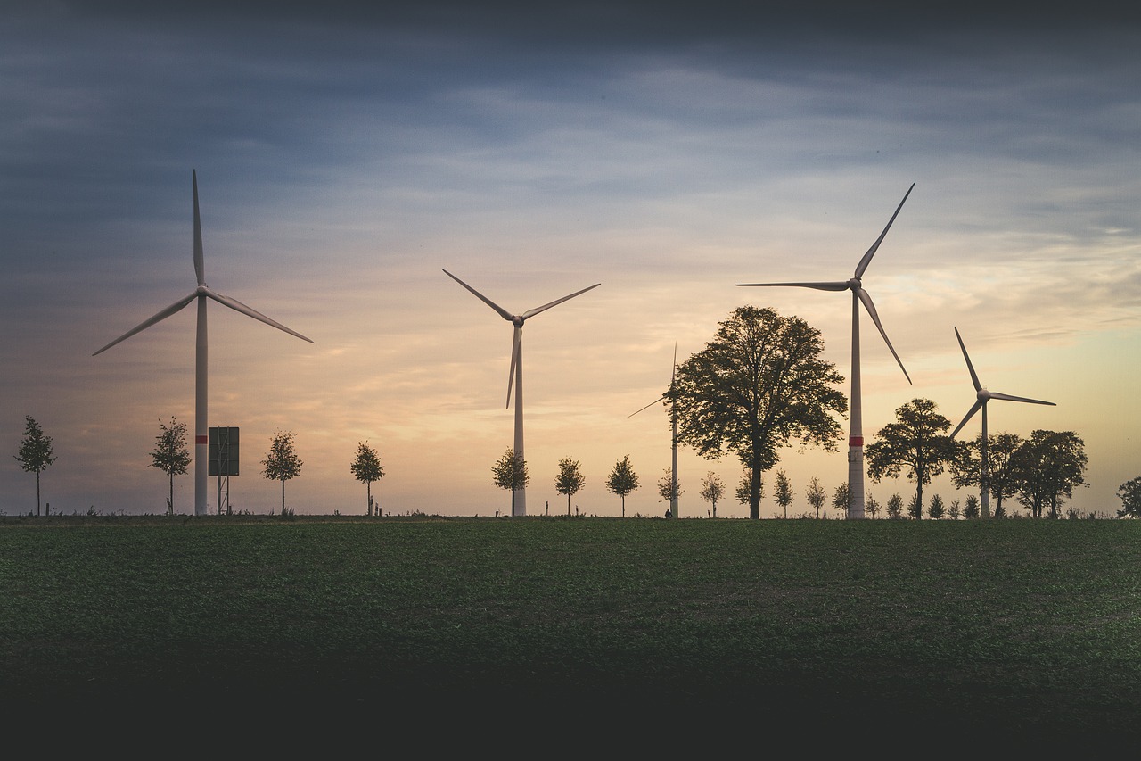 Les enjeux cruciaux de notre environnement