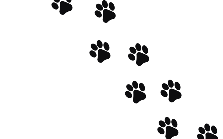 découvrez l'empreinte carbone : un guide essentiel pour comprendre l'impact environnemental de nos activités quotidiennes et apprendre à réduire notre influence sur la planète.