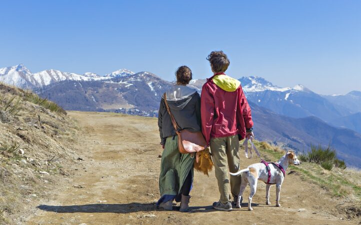 d&eacute;couvrez comment b&acirc;tir un avenir durable &agrave; travers des pratiques &eacute;cologiques, l'innovation et la solidarit&eacute;. explorez des solutions concr&egrave;tes pour pr&eacute;server notre plan&egrave;te tout en r&eacute;pondant aux besoins des g&eacute;n&eacute;rations futures.