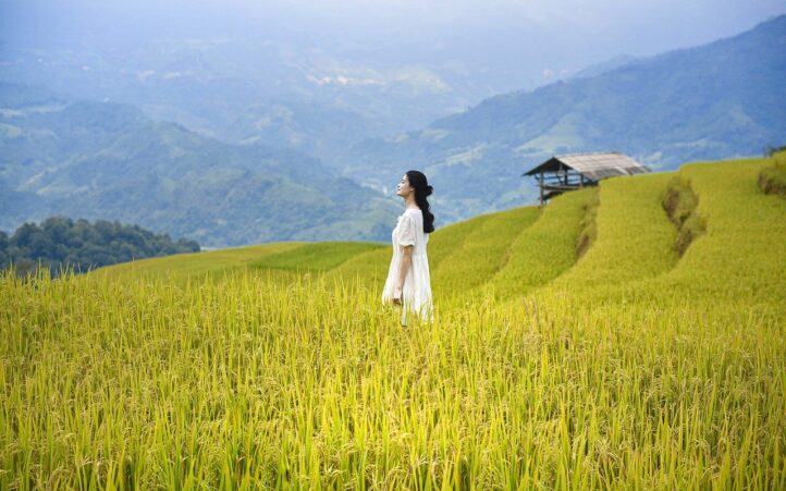 d&eacute;couvrez notre collection d&eacute;di&eacute;e aux femmes, mettant en avant des styles modernes, des tendances intemporelles et des conseils mode pour sublimer votre f&eacute;minit&eacute;. inspirez-vous et exprimez votre personnalit&eacute; &agrave; travers des looks uniques!