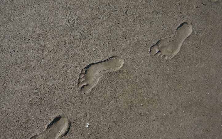 d&eacute;couvrez tout sur l'empreinte carbone : son importance, ses impacts sur l'environnement et des conseils pratiques pour r&eacute;duire votre contribution au r&eacute;chauffement climatique. adoptez des gestes &eacute;coresponsables et reversez la tendance d&egrave;s aujourd'hui.