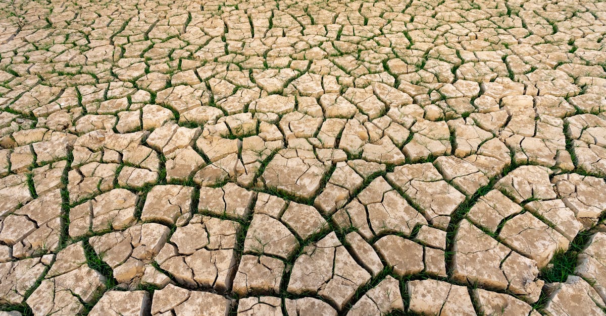 découvrez ce qu'est l'empreinte carbone et comment elle impacte notre planète. explorez des stratégies pour réduire votre empreinte carbone au quotidien et contribuer à un avenir durable.