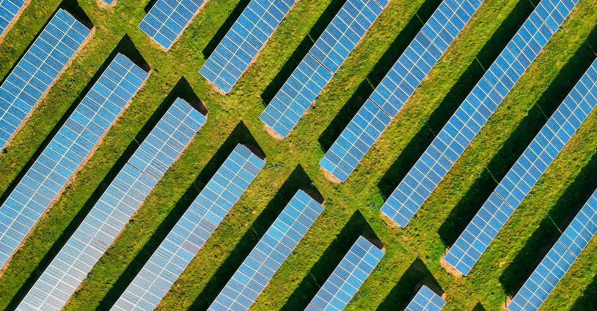 découvrez comment réduire votre empreinte carbone au quotidien pour préserver notre planète. adoptez des gestes écoresponsables et informez-vous sur l'impact de vos choix sur l'environnement.