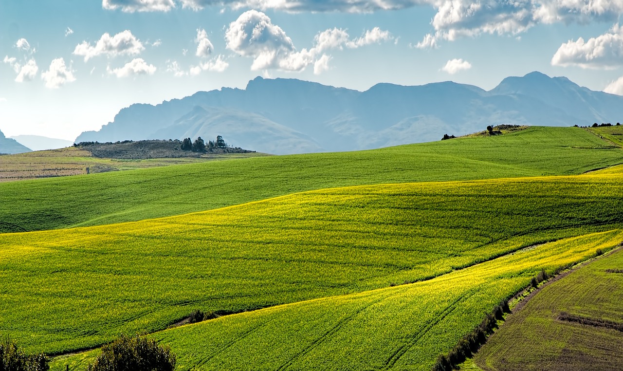 découvrez l'agriculture durable, une approche essentielle pour cultiver des aliments de manière responsable et respectueuse de l'environnement. explorez les pratiques, technologies et avantages de ce mode de culture qui préserve la biodiversité et répond aux besoins des générations futures.