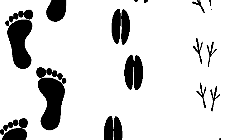 d&eacute;couvrez tout ce qu'il faut savoir sur l'empreinte carbone : d&eacute;finition, enjeux environnementaux, m&eacute;thodes de calcul et astuces pour la r&eacute;duire au quotidien. engagez-vous pour un avenir plus durable.