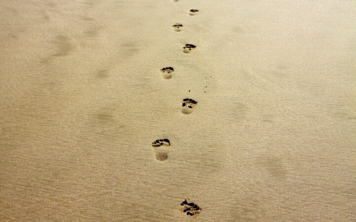 d&eacute;couvrez les r&eacute;glementations sur l'empreinte carbone, un cadre essentiel pour aider les entreprises &agrave; r&eacute;duire leur impact environnemental, promouvoir la durabilit&eacute; et respecter les normes &eacute;cologiques en vigueur.