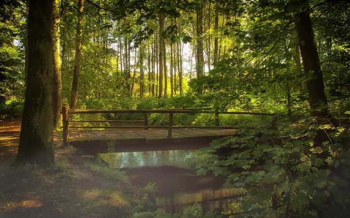 découvrez comment la transition écologique transforme notre société en adoptant des pratiques durables et respectueuses de l'environnement. explorez les enjeux, les solutions innovantes et les actions à mettre en place pour un avenir plus vert.