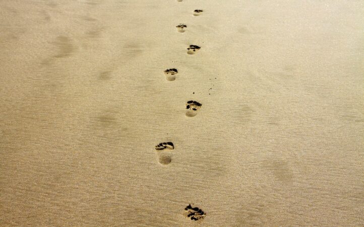 d&eacute;couvrez l'impact de votre empreinte carbone et comment r&eacute;duire votre impact environnemental. apprenez des astuces pratiques pour adopter un mode de vie plus durable et contribuer &agrave; la protection de notre plan&egrave;te.