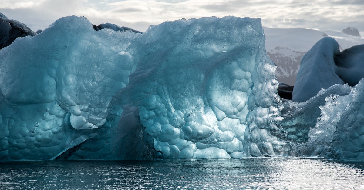 Les impacts du changement climatique sur le bilan carbone global