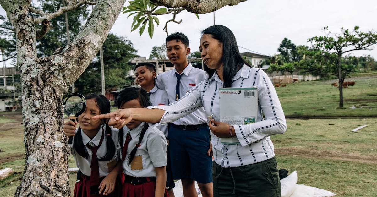 L’importance de l’éducation à l’environnement pour réduire le bilan carbone