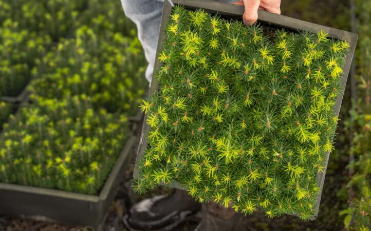 découvrez les pratiques de l'agriculture durable qui préservent l'environnement tout en répondant aux besoins alimentaires. explorez des techniques innovantes et respectueuses de la nature pour un avenir plus sain.