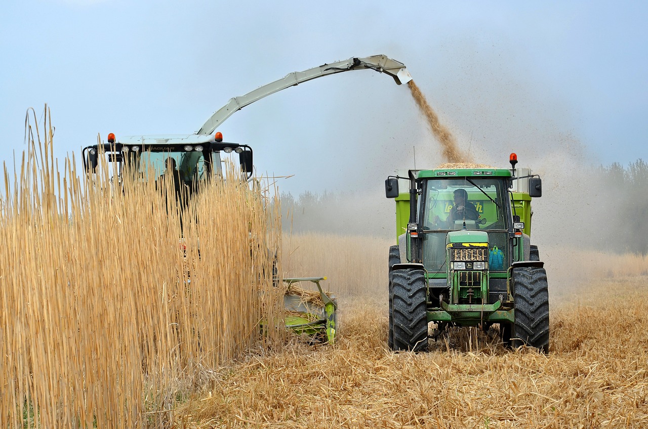 découvrez les biocarburants, une alternative écologique aux énergies fossiles. apprenez comment ces sources d'énergie renouvelable contribuent à la réduction des émissions de co2 et à la durabilité environnementale.