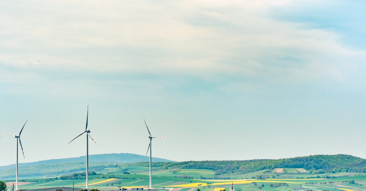 découvrez ce qu'est l'empreinte carbone et comment elle impacte notre environnement. apprenez des méthodes pour réduire votre empreinte écologique et contribuer à un avenir durable.