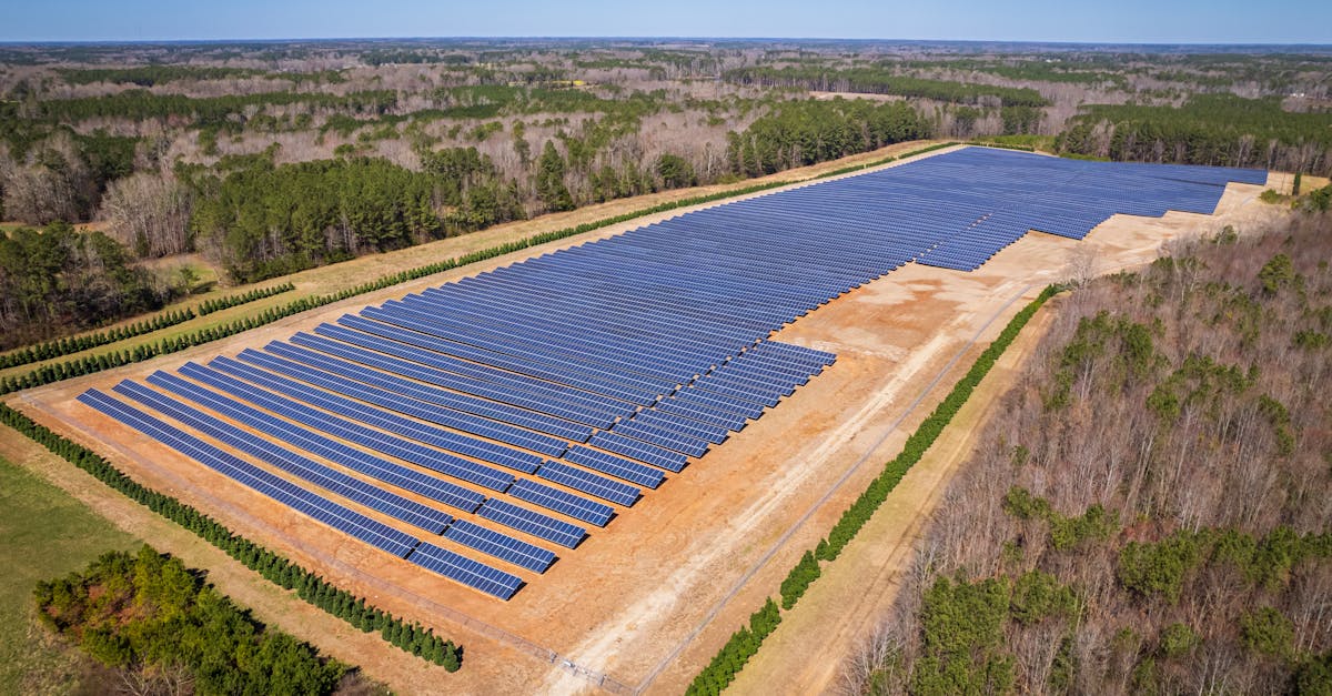 découvrez comment réduire votre empreinte carbone et contribuez à la protection de l'environnement. explorez des stratégies, des conseils pratiques et des solutions durables pour minimiser l'impact de votre mode de vie sur la planète.