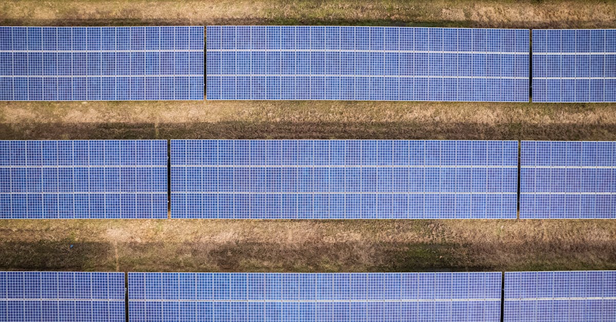 découvrez des stratégies efficaces pour réduire votre empreinte carbone et contribuer à un avenir plus durable. apprenez des techniques pratiques et des actions concrètes pour minimiser votre impact environnemental.