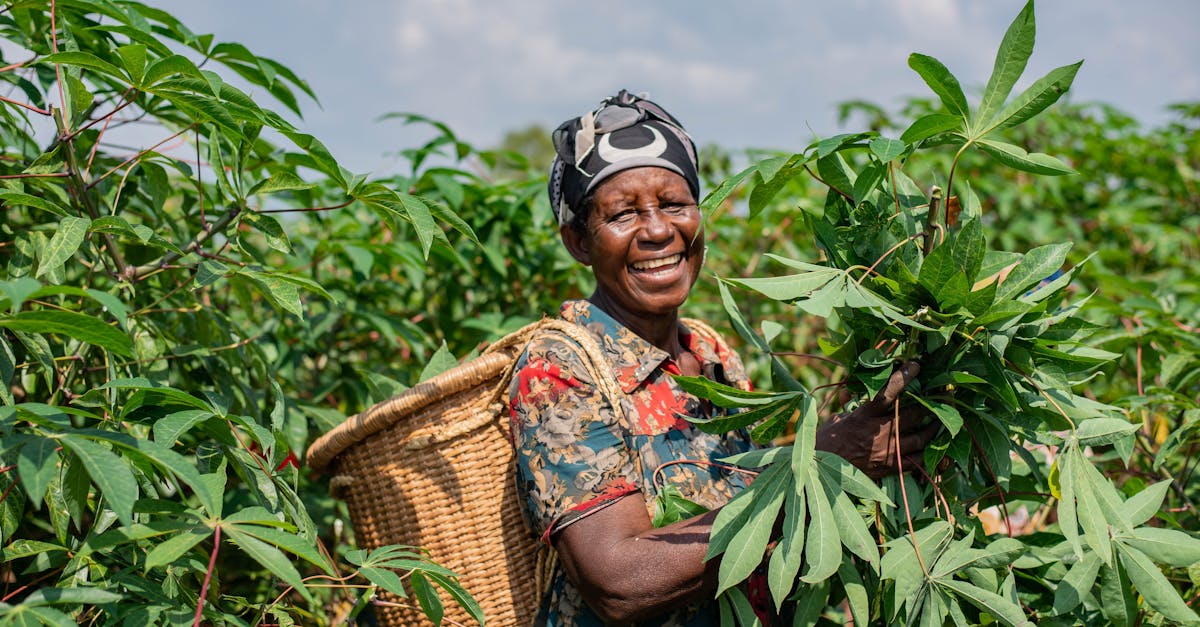 découvrez les pratiques de l'agriculture durable qui préservent l'environnement tout en produisant des aliments sains et de qualité. apprenez comment ces méthodes innovantes soutiennent l'économie locale et favorisent la biodiversité.