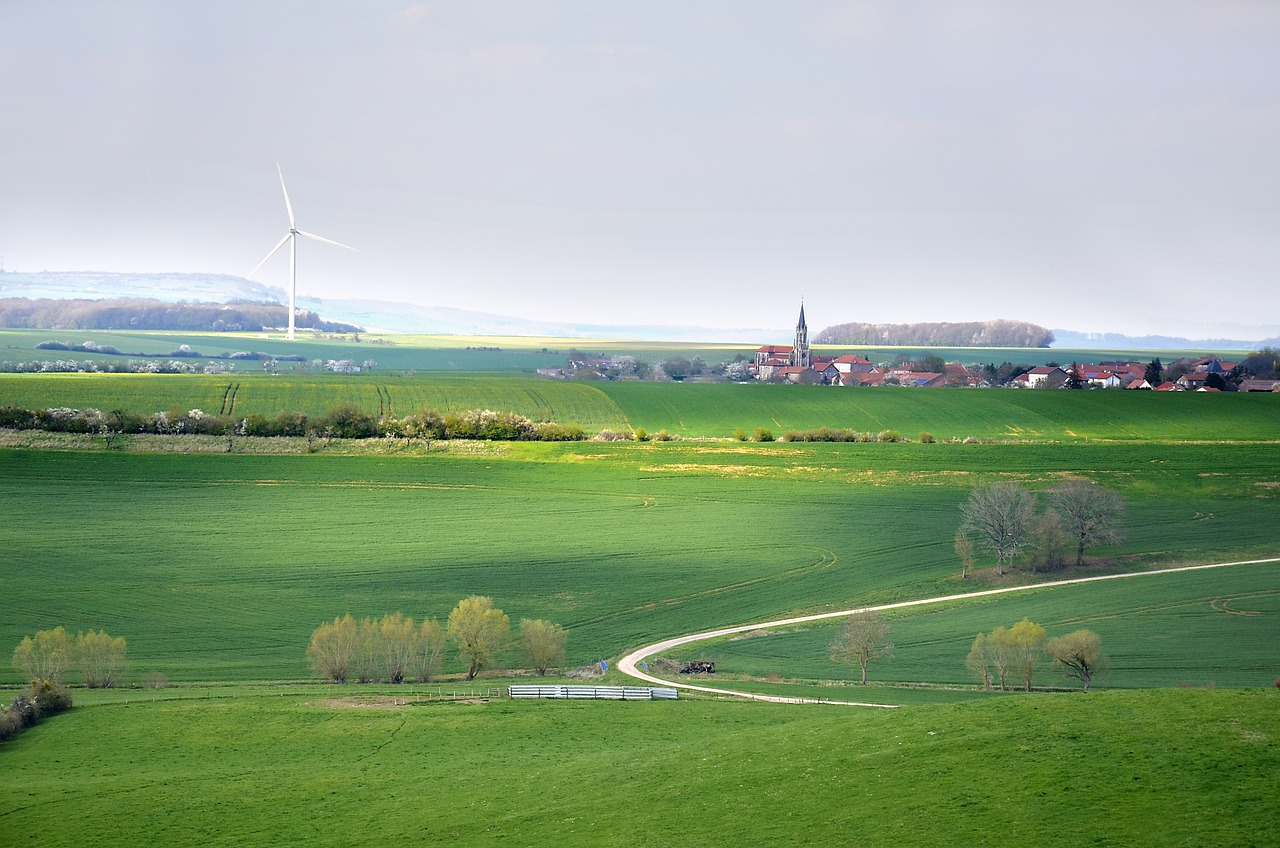 découvrez notre stratégie de développement durable visant à promouvoir une croissance respectueuse de l'environnement, à améliorer la qualité de vie des générations futures et à favoriser une utilisation responsable des ressources pour un avenir plus vert.