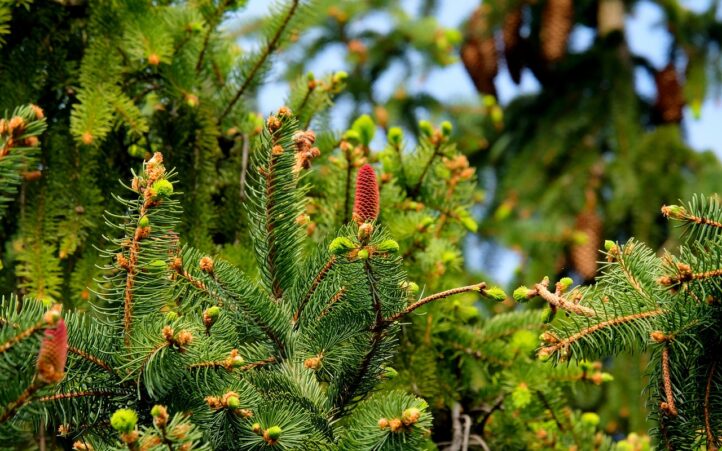 découvrez des solutions de chauffage durable qui allient confort et respect de l'environnement. optez pour des systèmes éco-énergétiques pour réduire votre empreinte carbone et réaliser des économies d'énergie.