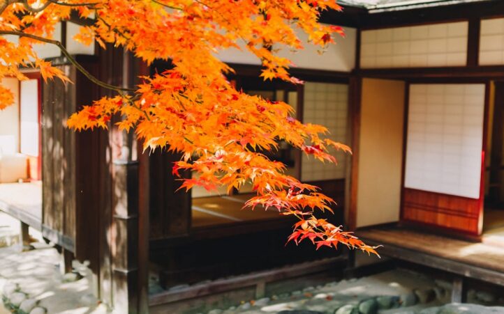 d&eacute;couvrez comment le changement culturel impacte nos soci&eacute;t&eacute;s, nos valeurs et nos comportements &agrave; travers le temps. explorez les dynamiques qui fa&ccedil;onne nos identit&eacute;s et les d&eacute;fis li&eacute;s &agrave; l'&eacute;volution culturelle.