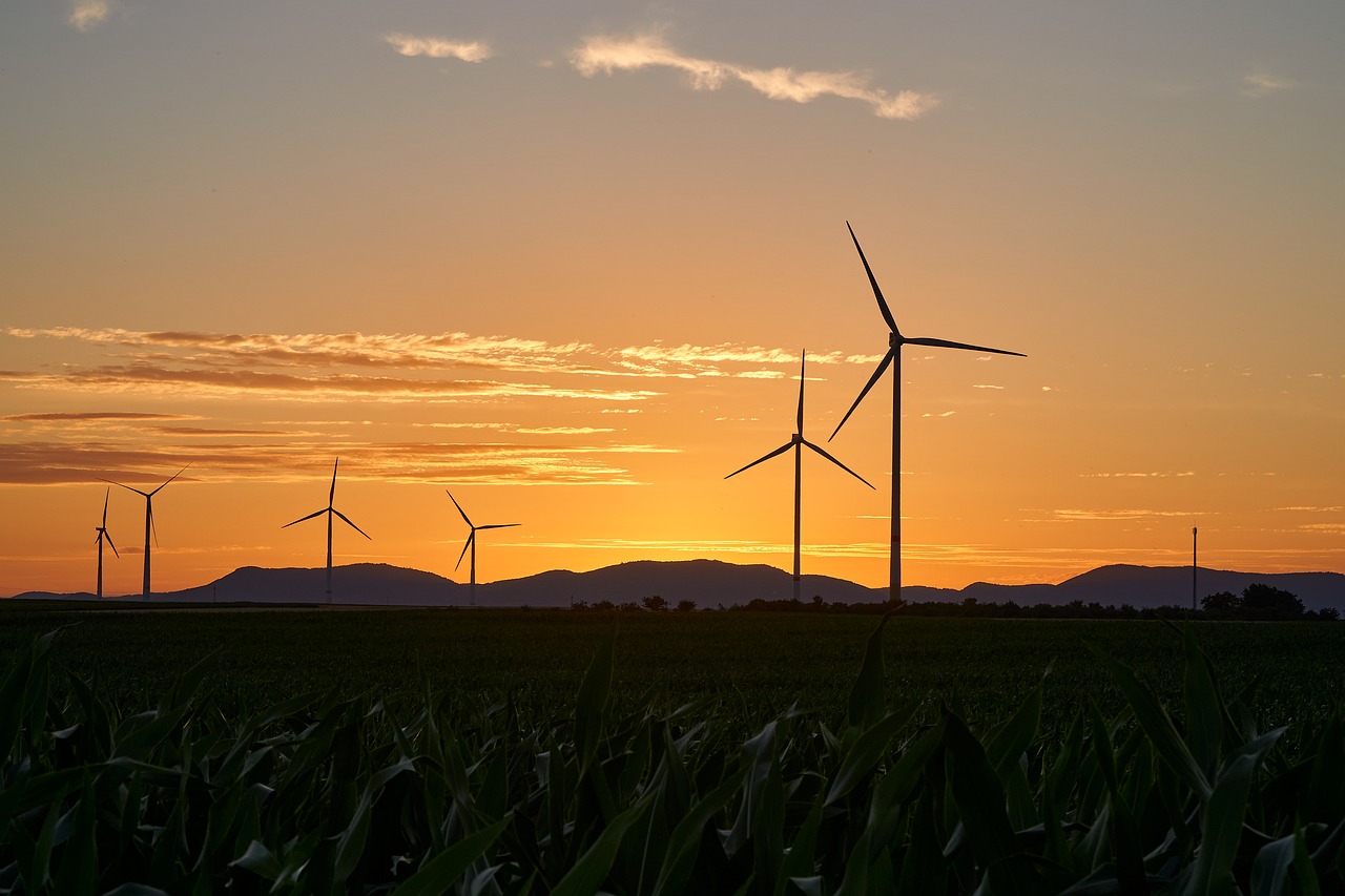 Énergies renouvelables et leurs contributions à un bilan carbone positif