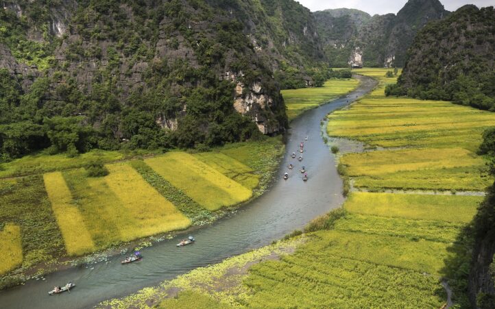 d&eacute;couvrez le r&ocirc;le essentiel des ong (organisations non gouvernementales) dans le d&eacute;veloppement durable, la d&eacute;fense des droits de l'homme et l'aide humanitaire. informez-vous sur leurs missions, projets et impact &agrave; l'&eacute;chelle mondiale.
