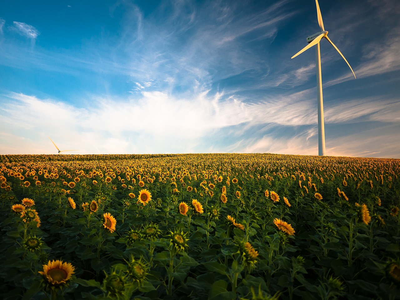 découvrez les avantages de l'énergie renouvelable, une solution durable pour un avenir plus vert. apprenez comment ces sources d'énergie contribuent à la réduction des émissions de carbone et à la sauvegarde de notre planète.