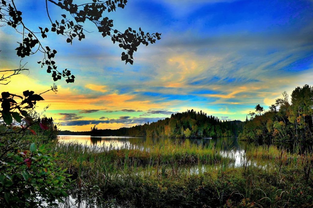 découvrez l'importance de la conservation de l'eau et des méthodes pratiques pour réduire votre consommation. apprenez des astuces pour économiser l'eau au quotidien et protéger cette précieuse ressource.