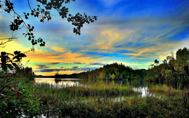 d&eacute;couvrez l'importance de la conservation de l'eau et des m&eacute;thodes pratiques pour r&eacute;duire votre consommation. apprenez des astuces pour &eacute;conomiser l'eau au quotidien et prot&eacute;ger cette pr&eacute;cieuse ressource.