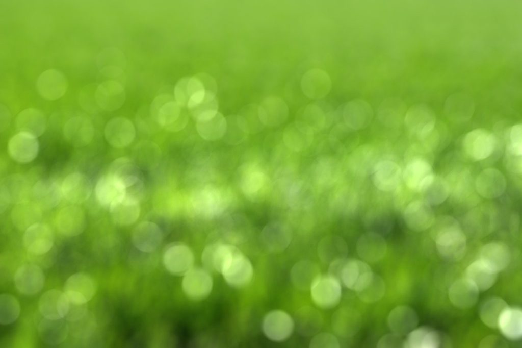 découvrez l'importance de la durabilité pour préserver notre planète. explorez des solutions innovantes et des pratiques responsables qui favorisent un avenir écologique et durable.