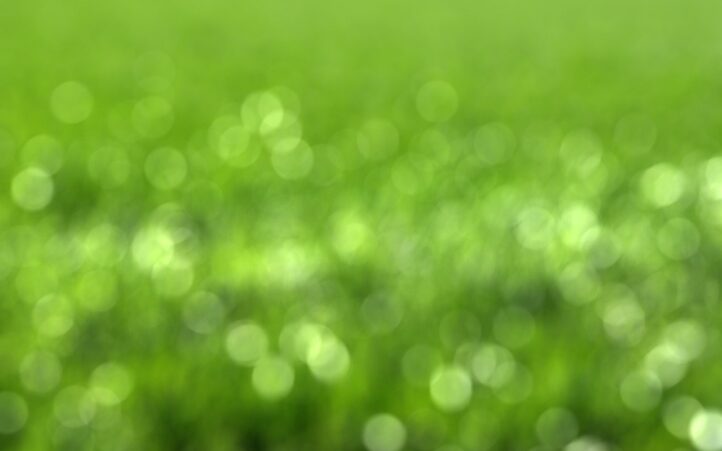 découvrez l'importance de la durabilité pour préserver notre planète. explorez des solutions innovantes et des pratiques responsables qui favorisent un avenir écologique et durable.