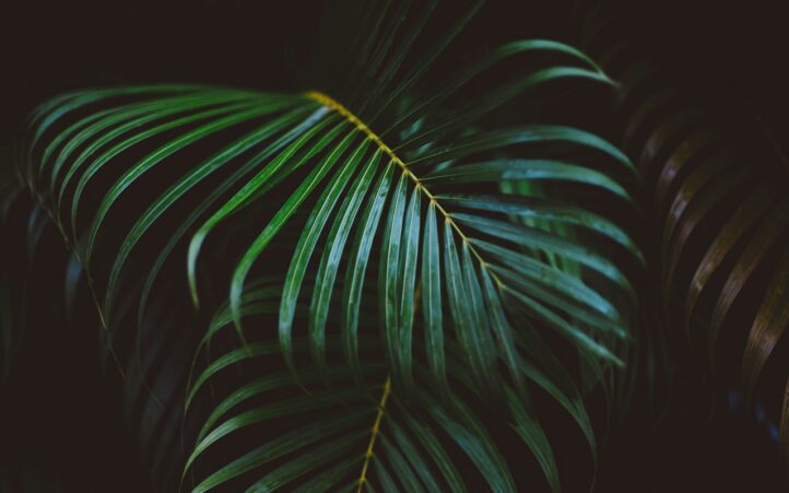 découvrez le financement vert, une solution innovante pour promouvoir des projets durables et respectueux de l'environnement. explorez comment les investissements écologiques peuvent transformer l'économie tout en préservant notre planète.