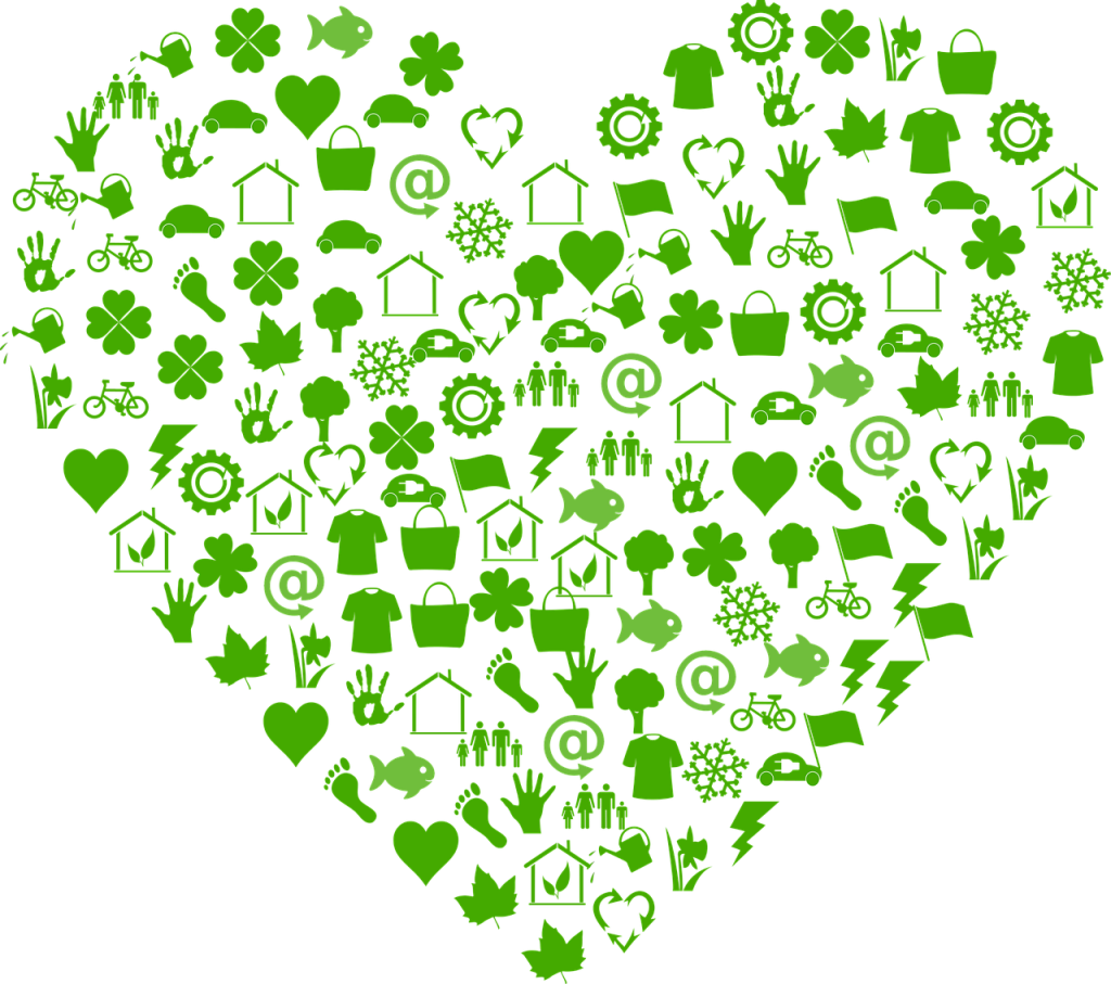 découvrez comment l'innovation durable transforme les entreprises et préserve notre environnement. explorez des solutions créatives qui allient performance économique et responsabilité écologique.