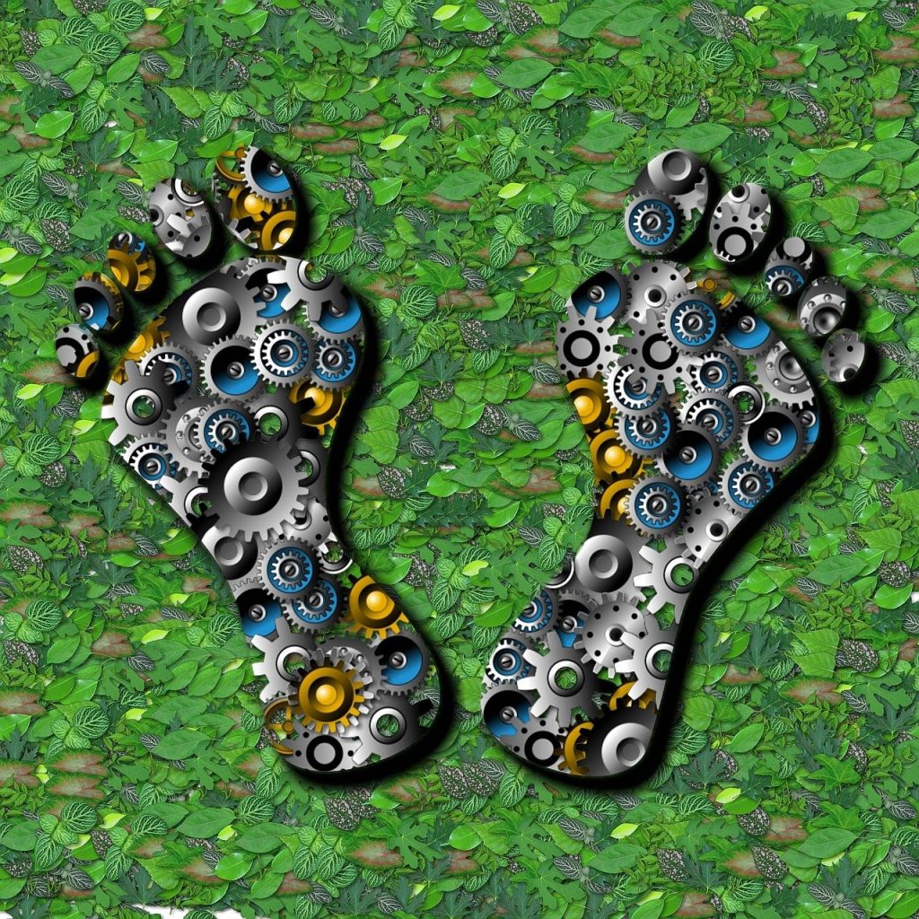 découvrez l'empreinte écologique, un indicateur clé de notre impact sur l'environnement. apprenez comment évaluer votre consommation de ressources et adopter des pratiques durables pour préserver notre planète.