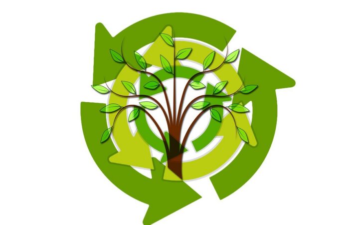 découvrez l'importance de la durabilité dans notre monde moderne. explorez des pratiques écoresponsables, des innovations durables et comment chaque individu peut contribuer à un avenir plus vert et respectueux de l'environnement.