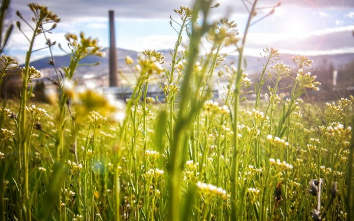d&eacute;couvrez le tourisme durable : une approche &eacute;co-responsable pour explorer le monde tout en pr&eacute;servant l'environnement et en soutenant les communaut&eacute;s locales. voyagez de mani&egrave;re consciente et laissez une empreinte positive.